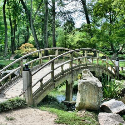 Japon