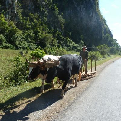Cuba Oriente (à partir de 2690 Eur)