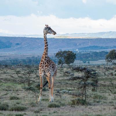 Kenya