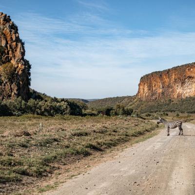 Kenya du 30 novembre au 21 décembre 2024