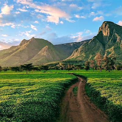 Malawi du 29 septembre au 20 octobre 2026