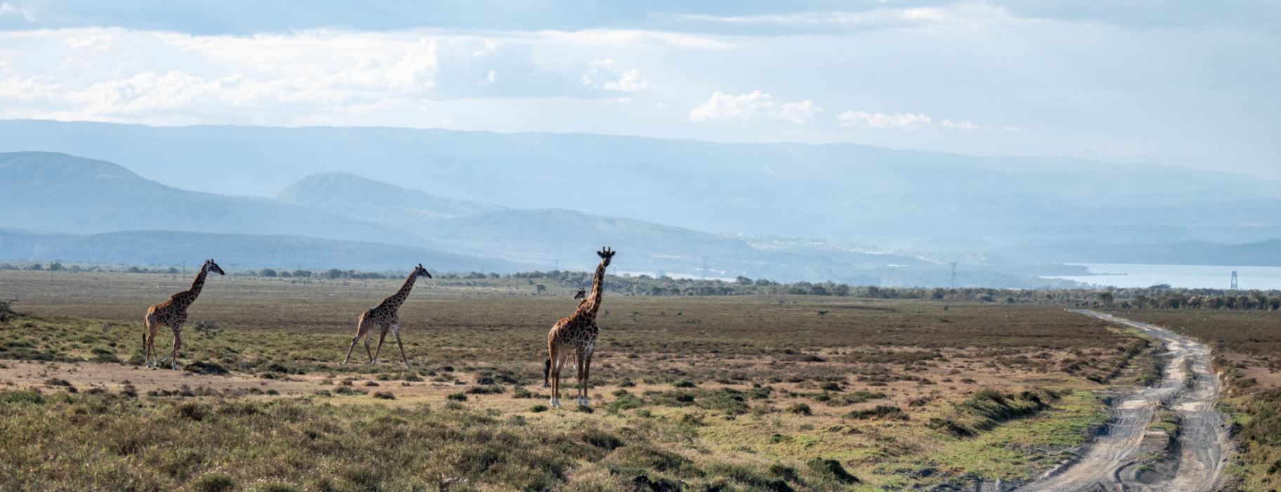 Kenya du 30 novembre au 21 décembre 2024