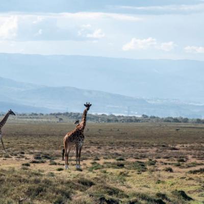 Kenya