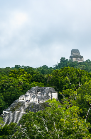 Belize-Guatemala, 24 jours, du 04 au 28 février 2028