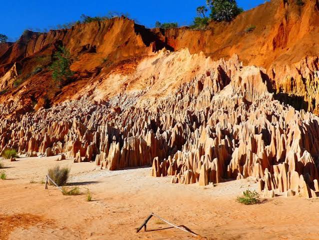 Madagascar nord, 19 jours (prix à partir de 1890€)